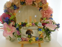 ひたちなか市愛犬カイちゃん