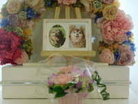 水戸市愛犬りんちゃん