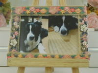 水戸市愛犬エルちゃん