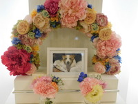 ひたちなか市愛犬駿ちゃん