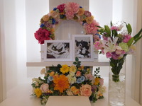 日立市愛猫ふくちゃん