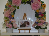 城里町愛猫むぎちゃん