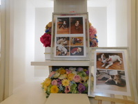 水戸市愛犬ミュジニーちゃん