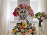 水戸市愛犬ももちゃん