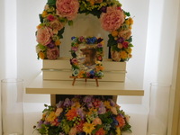 那珂市愛犬桜ちゃん