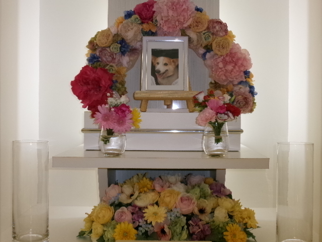 吉田家いっさちゃん.JPG