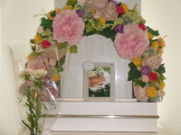 水戸市愛犬レオちゃん