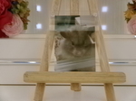 水戸市ハムスター・リヒトちゃん