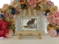 水戸市愛兎こまるちゃん