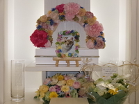 常陸太田市愛猫ねこちゃん