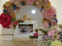 城里町愛猫あさひちゃん