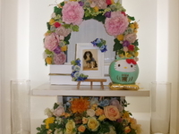 水戸市愛犬のんちゃん