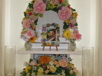 水戸市ハムスター・プリンちゃん