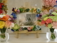 水戸市ハムスター・はぎちゃん