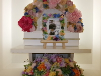 笠間市愛犬マリンちゃん