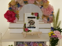 茨城町愛犬プリンちゃん