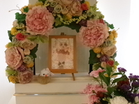 常陸大宮市愛猫ショコラちゃん