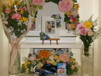 水戸市愛犬殿ちゃん