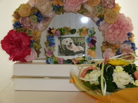 東海村愛犬伝助ちゃん