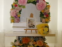 水戸市愛兎ロアちゃん