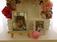 水戸市愛犬杏ちゃん