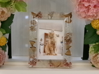 小美玉市愛猫ちーちゃん