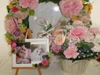 行方市愛猫ちろちゃん