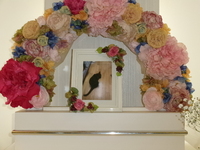 水戸市愛猫にゃおちゃん