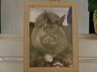 笠間市愛兎うどんちゃん