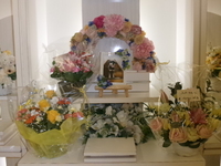 水戸市愛犬ミッキーちゃん