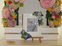 ひたちなか市愛猫ラムちゃん