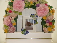 土浦市愛猫冬ちゃん