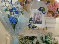 水戸市セキセイインコ・ひさちゃん