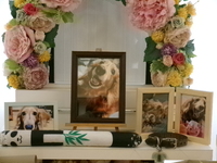 水戸市愛犬バロンちゃん