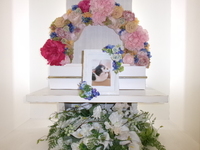 常陸大宮市愛猫ノアちゃん