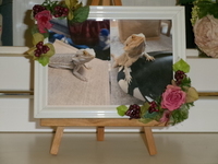 那珂市フトアゴヒゲトカゲ・ニックちゃん