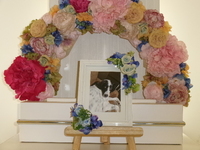 桜川市愛犬大和ちゃん