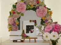 常陸大宮市愛犬ショコラちゃん