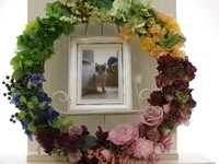 日立市愛猫無空（ムク）ちゃん