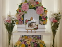 城里町愛猫にゃーけちゃん