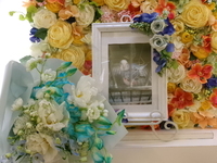 水戸市セキセイインコ・ぷーたんちゃん