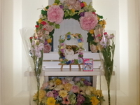 水戸市愛猫みぃこちゃん