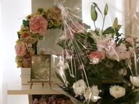 水戸市愛猫しーちゃん