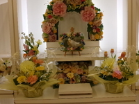 ひたちなか市オカメインコ・ピピちゃん