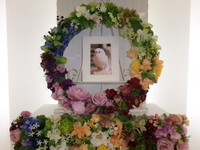 水戸市愛鳥ぴーちゃん