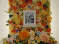 水戸市愛犬ゆきちちゃん