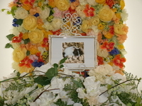 笠間市ファンシーマウスおまめちゃん