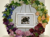 笠間市ファンシーマウスももじろうちゃん