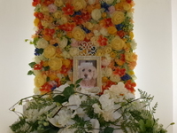 日立市愛犬マロンちゃん