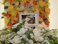 小美玉市ハリネズミ・リンちゃん